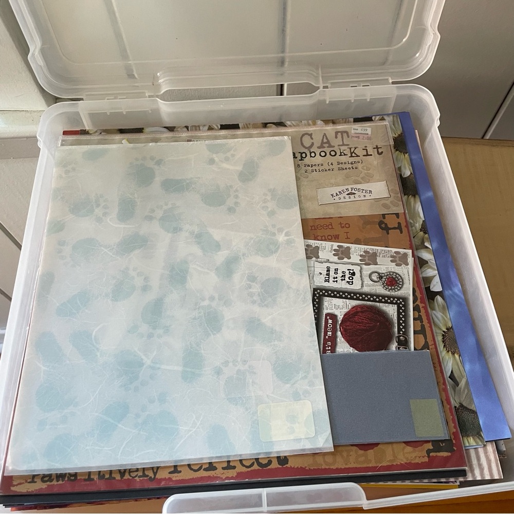 Assorted Scrapbook Page & Colorful Paper Mystery Box #1 PLUS Storage Box
